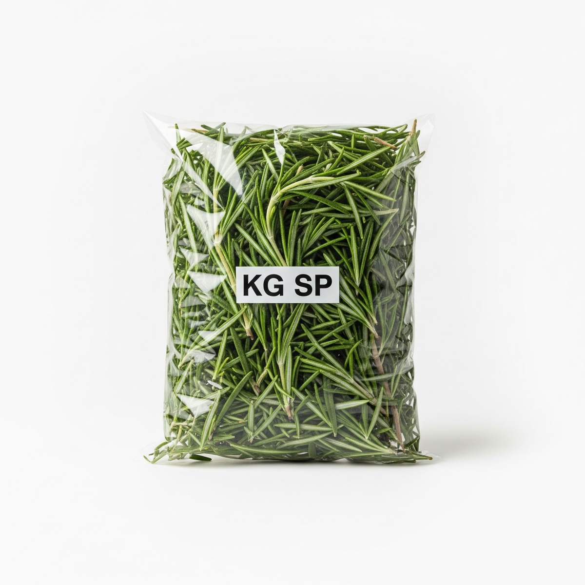 Kräuter Rosmarin kg SP