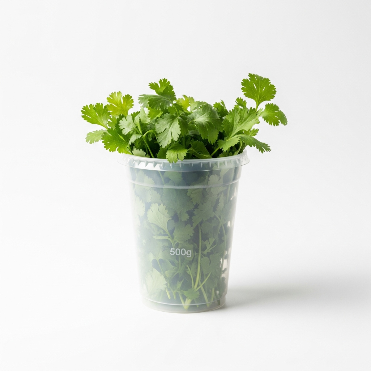 Tasse Koriander 500g
