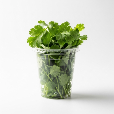 Tasse Koriander 250g